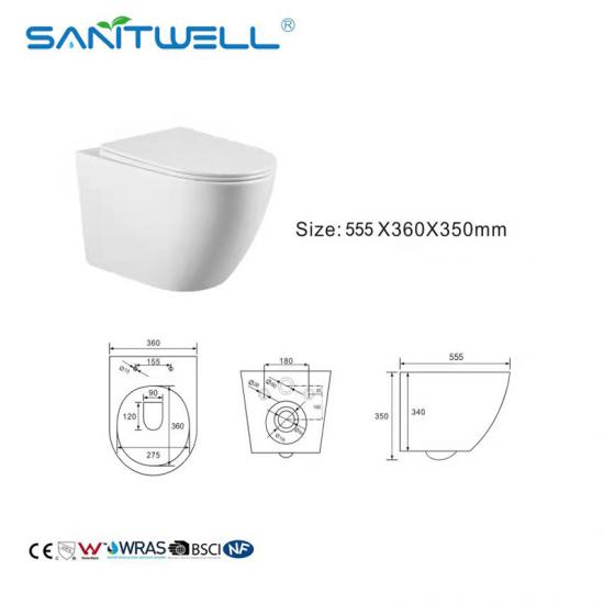 wall mounted toilet