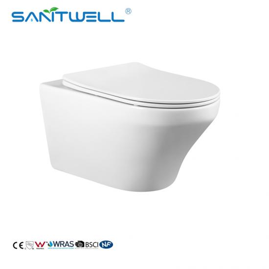 wall mounted toilet