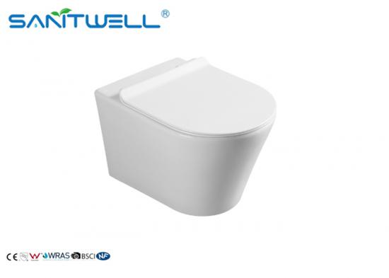 wall mounted toilet