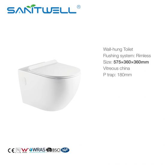 wall mounted toilet