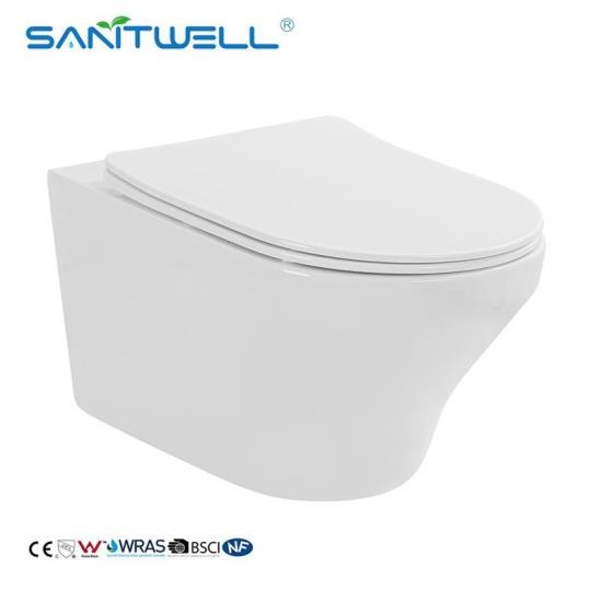 wall hung toilet