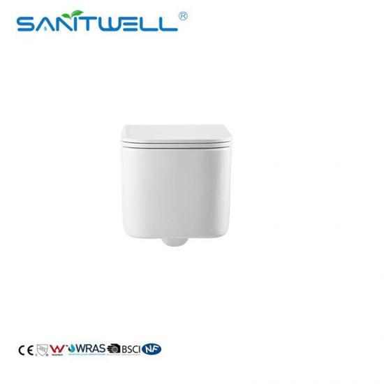 Wall hung toilet