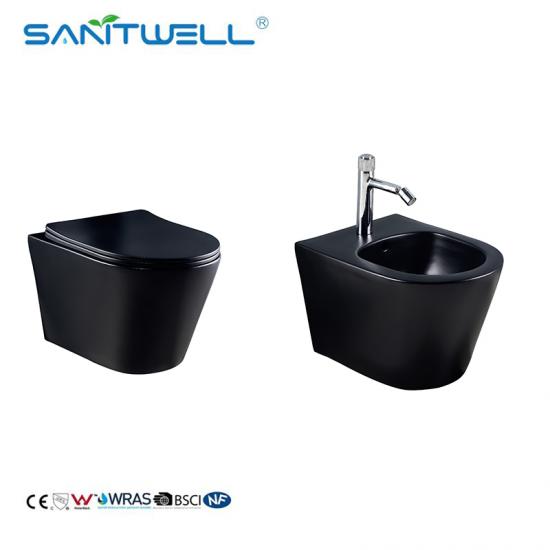 Wall hung toilet