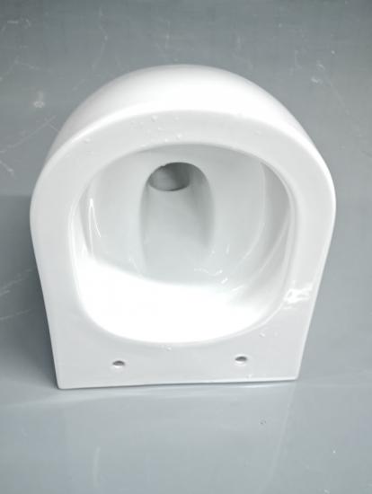 Wall hung toilet