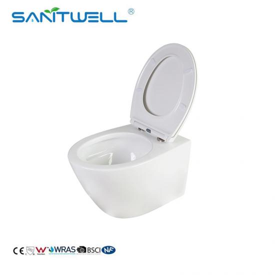 Wall hung toilet