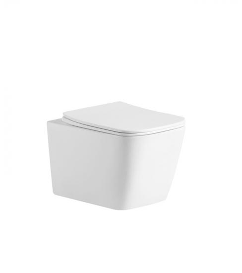 Wall hung toilet